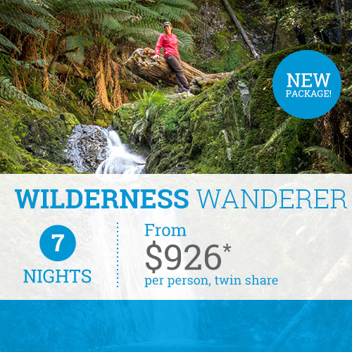 Wilderness Wanderer Package from TasVacations